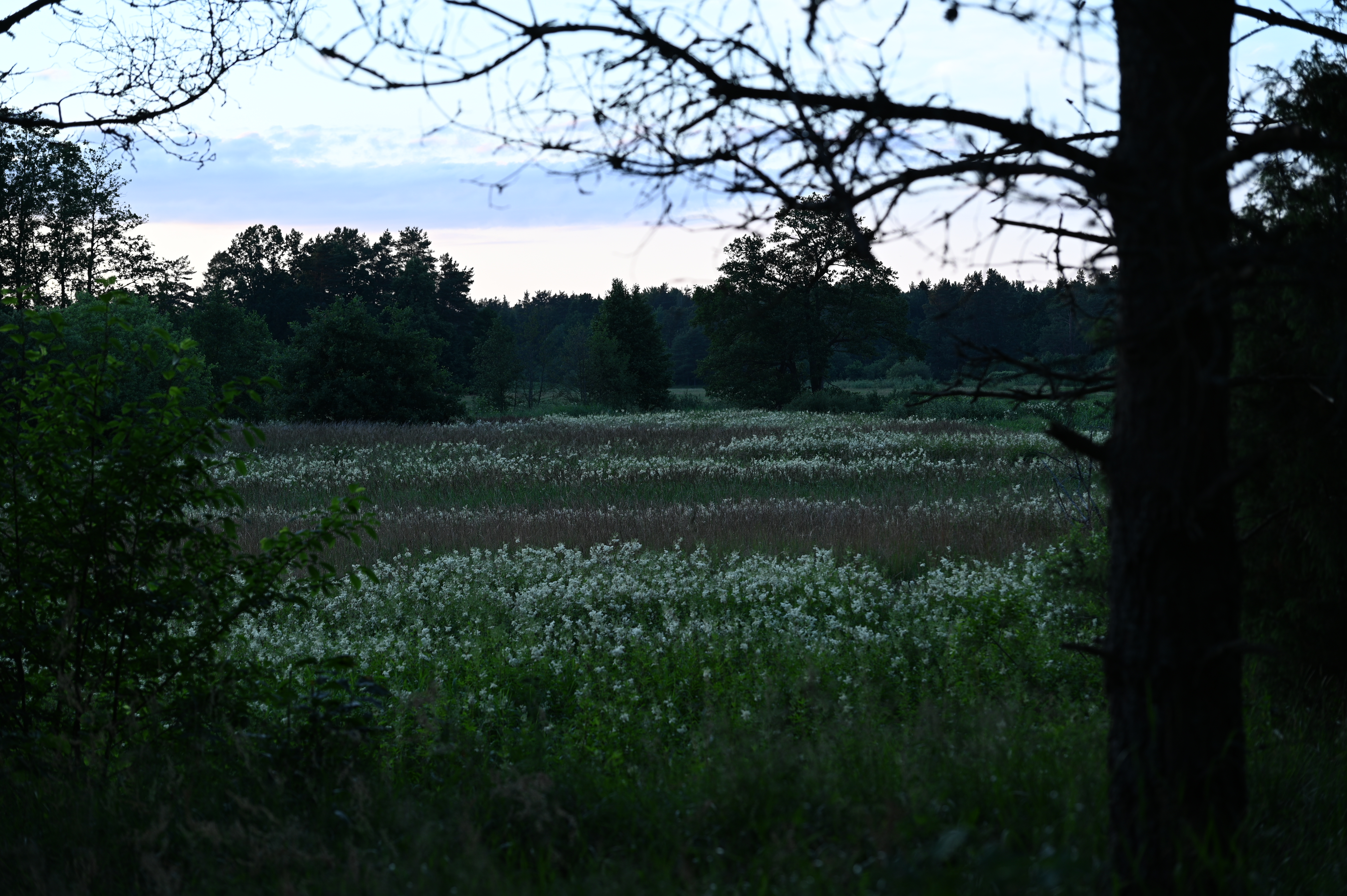 2025/07/09-14 - trip/DSC_0083.JPG